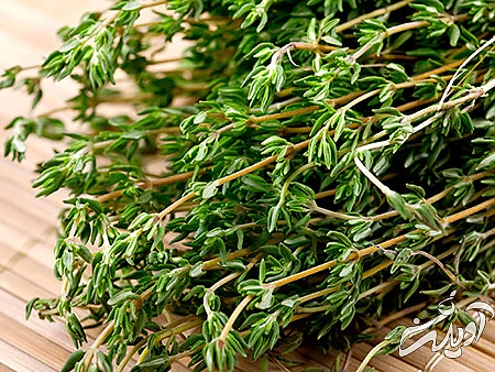 خواص آویشن خواص آویشن کوهی, خاصیت آویشن